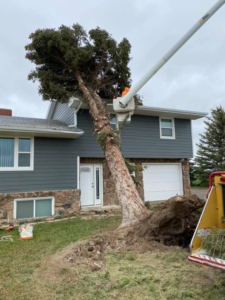 Tree Removal #17 — Worden, MT — Toogood Tree Service