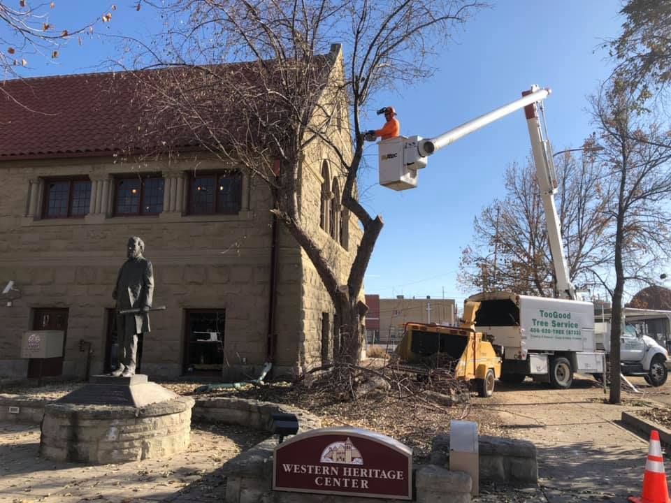 Tree Removal #14 — Worden, MT — Toogood Tree Service