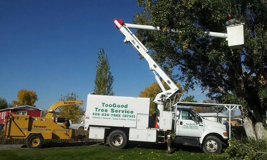 Tree Removal #2 — Worden, MT — Toogood Tree Service