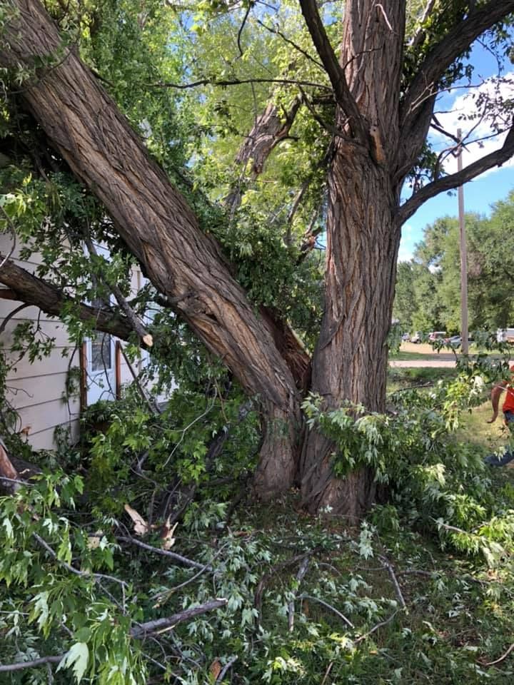 Tree Removal #10 — Worden, MT — Toogood Tree Service