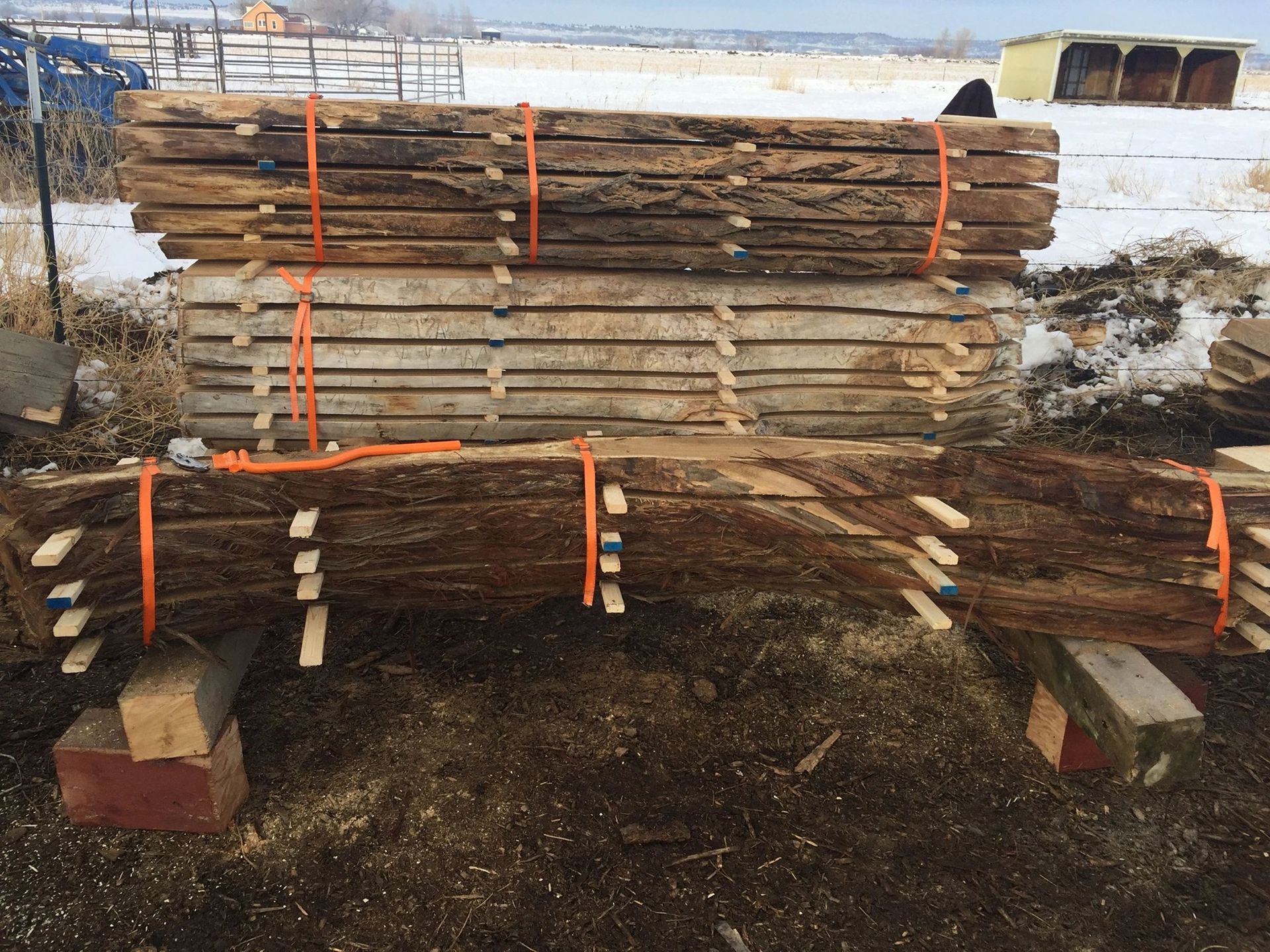 Tree Removal #24 — Worden, MT — Toogood Tree Service