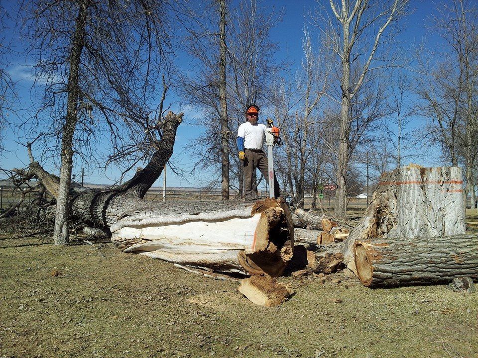 Tree Removal #19 — Worden, MT — Toogood Tree Service