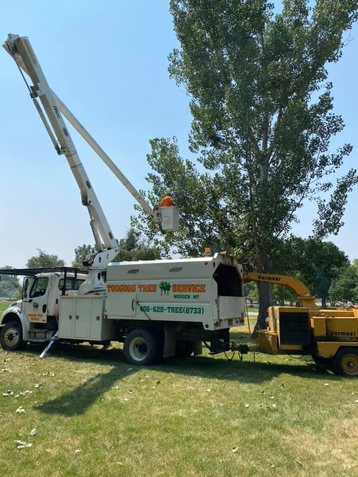 Tree Cutting — Worden, MT — Toogood Tree Service