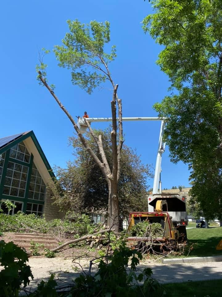 Tree Removal #8 — Worden, MT — Toogood Tree Service