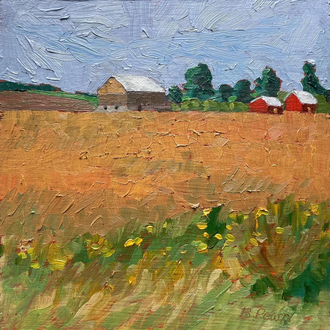 Grain Field after the harvest