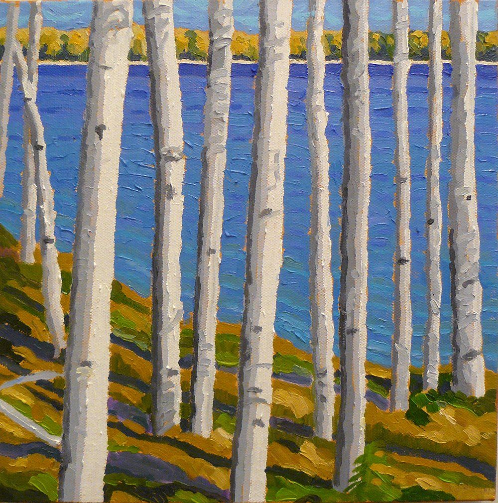 square oil painting of birch trees.