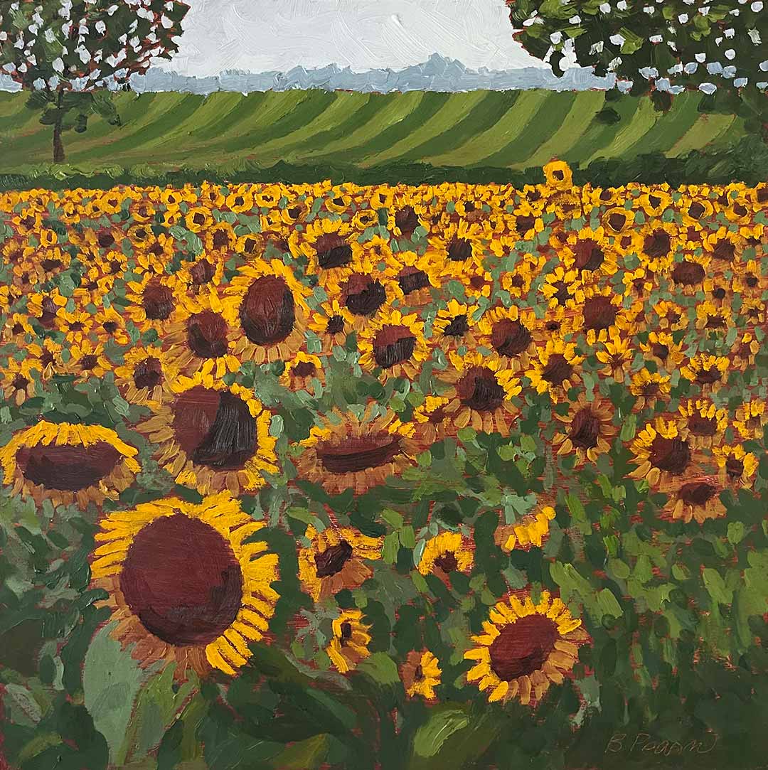 Sunflower field oil painting.
