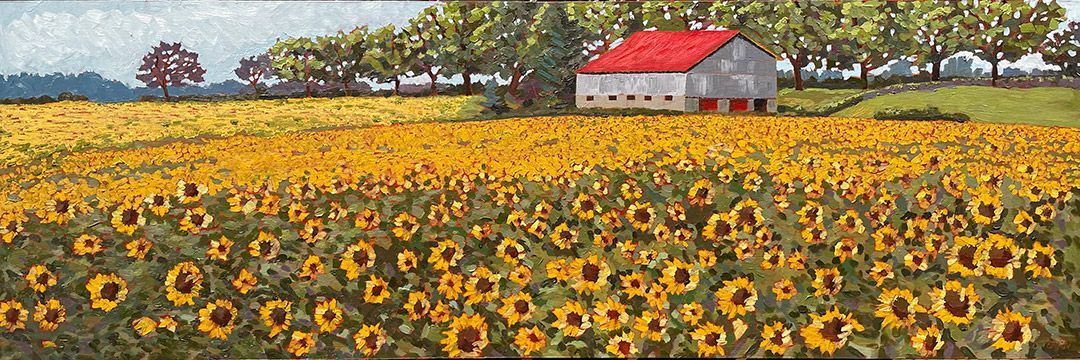 Sunflower farm
