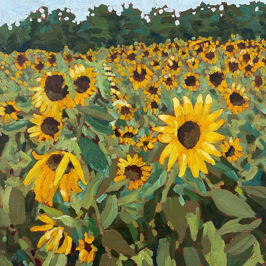 Sunflower Season oil painting