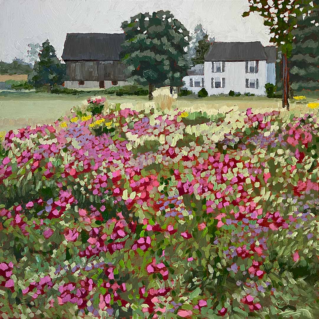 Sweet peas growing at the roadside.