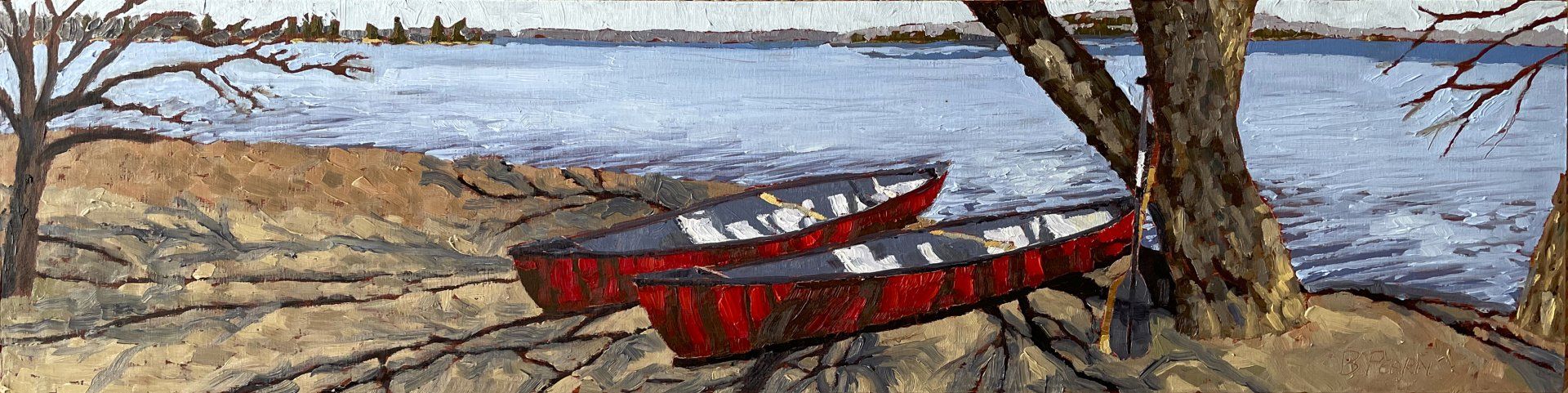 Two canoes under a tree resting.
