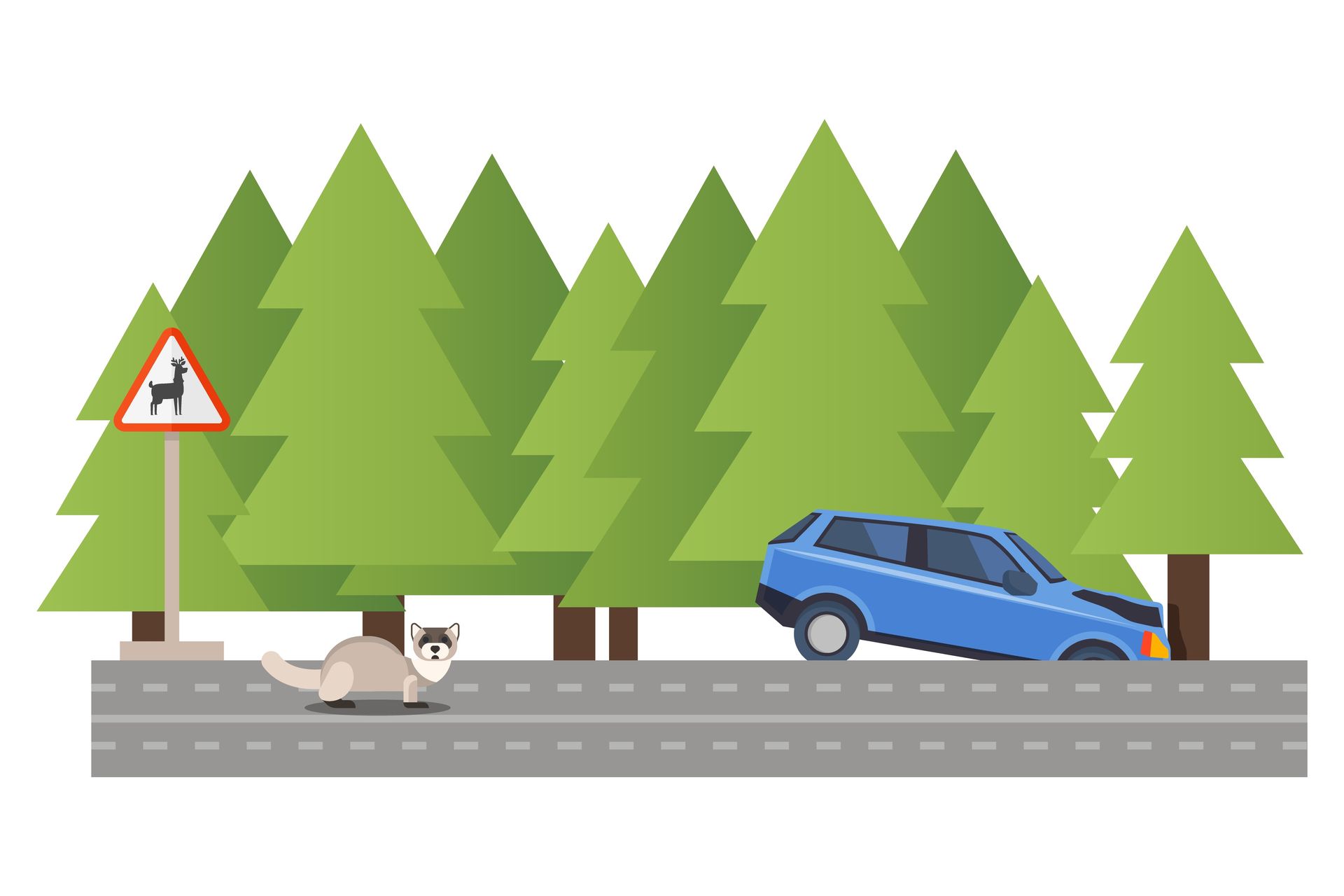 7 Ways to Reduce the Risk of Hitting Wildlife With Your Vehicle | Duffy’s Auto Service