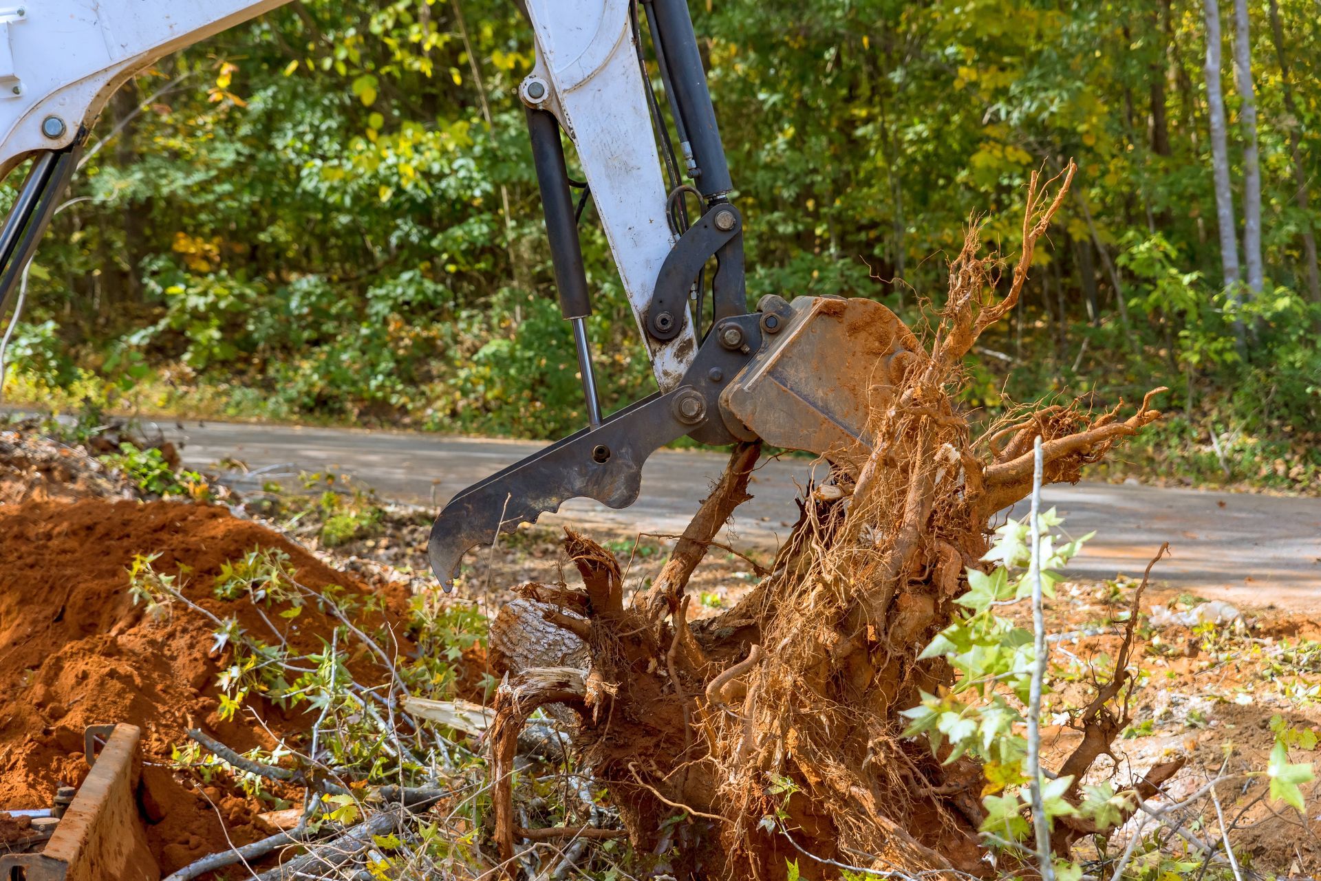 Excavator digging up tree roots beside a road in a wooded area