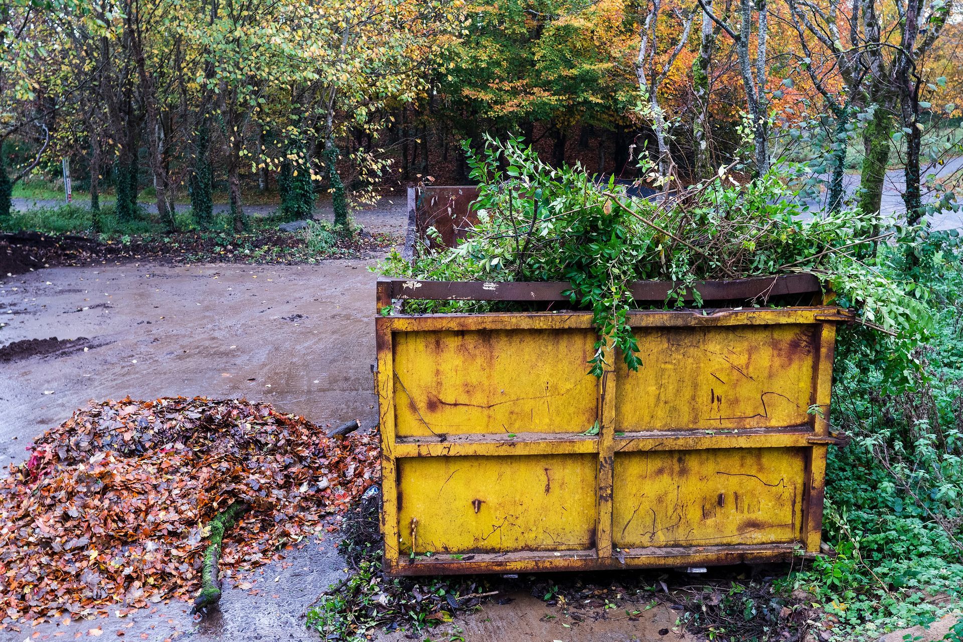 Yellow dumpster beside a pile of leaves on a wet path in a wooded park in autumn