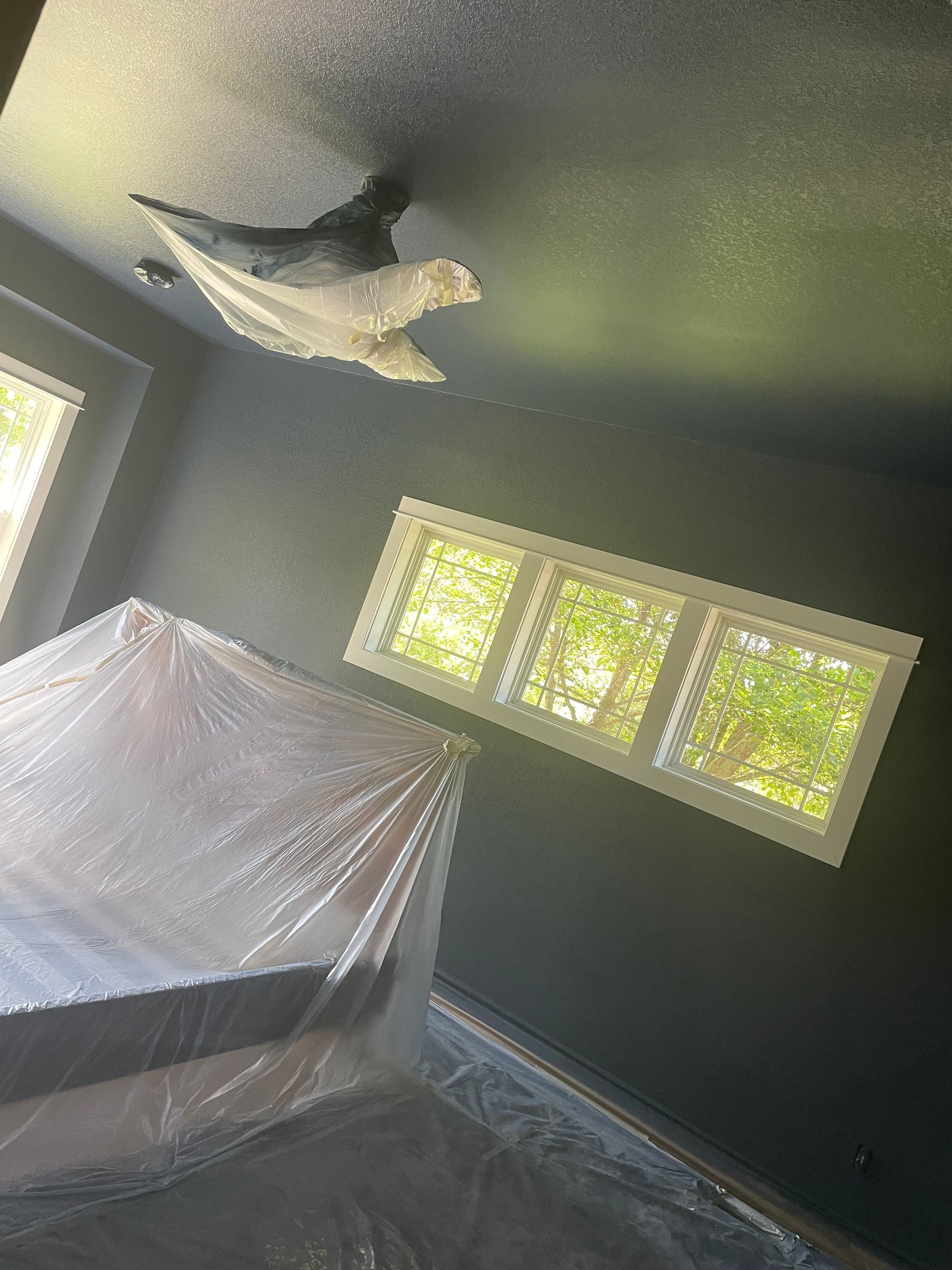 A Room With Black Walls And White Windows Is Being Painted