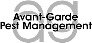 Avant-Garde Pest Management Inc
