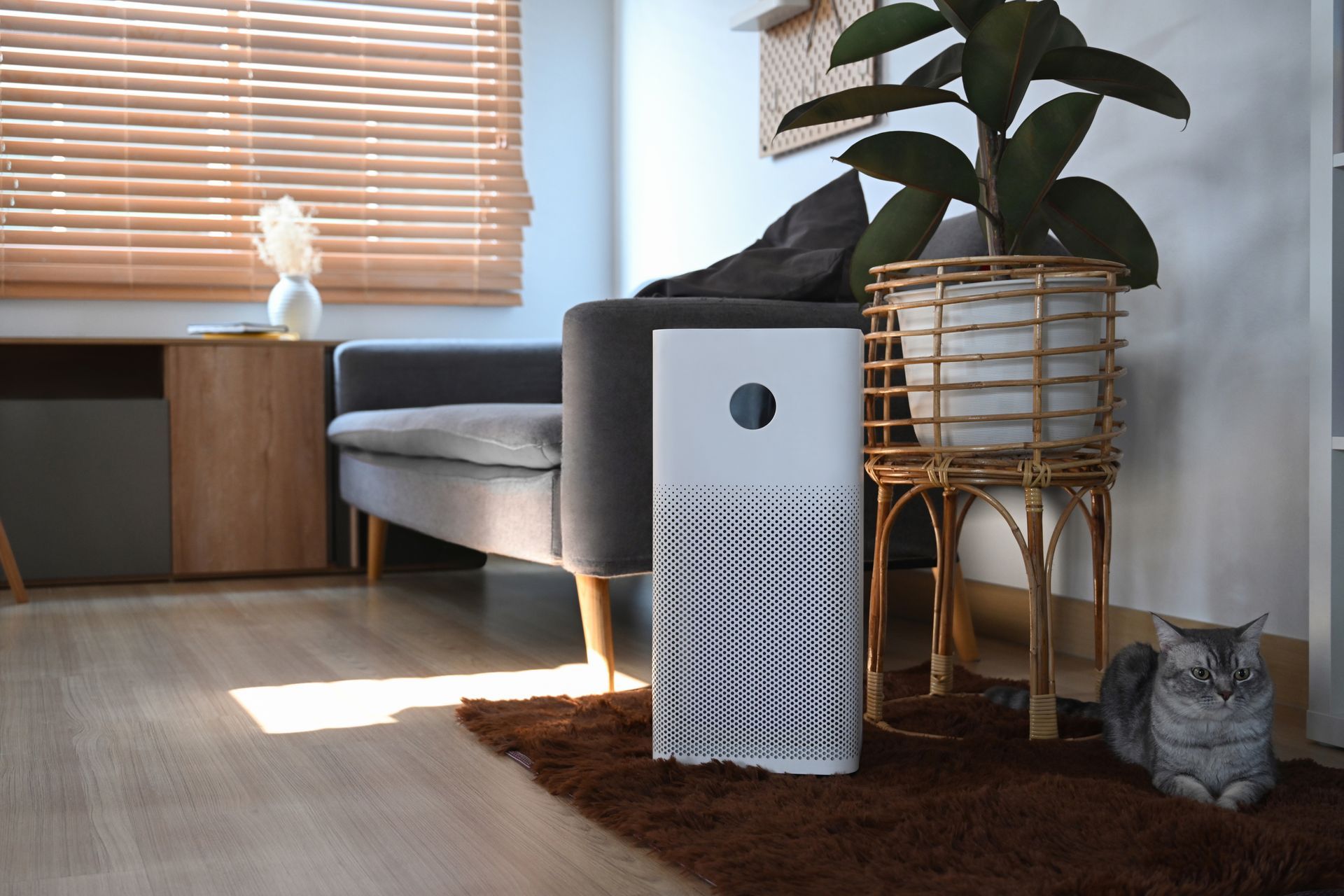 A cat is sitting next to a air purifier in a living room.