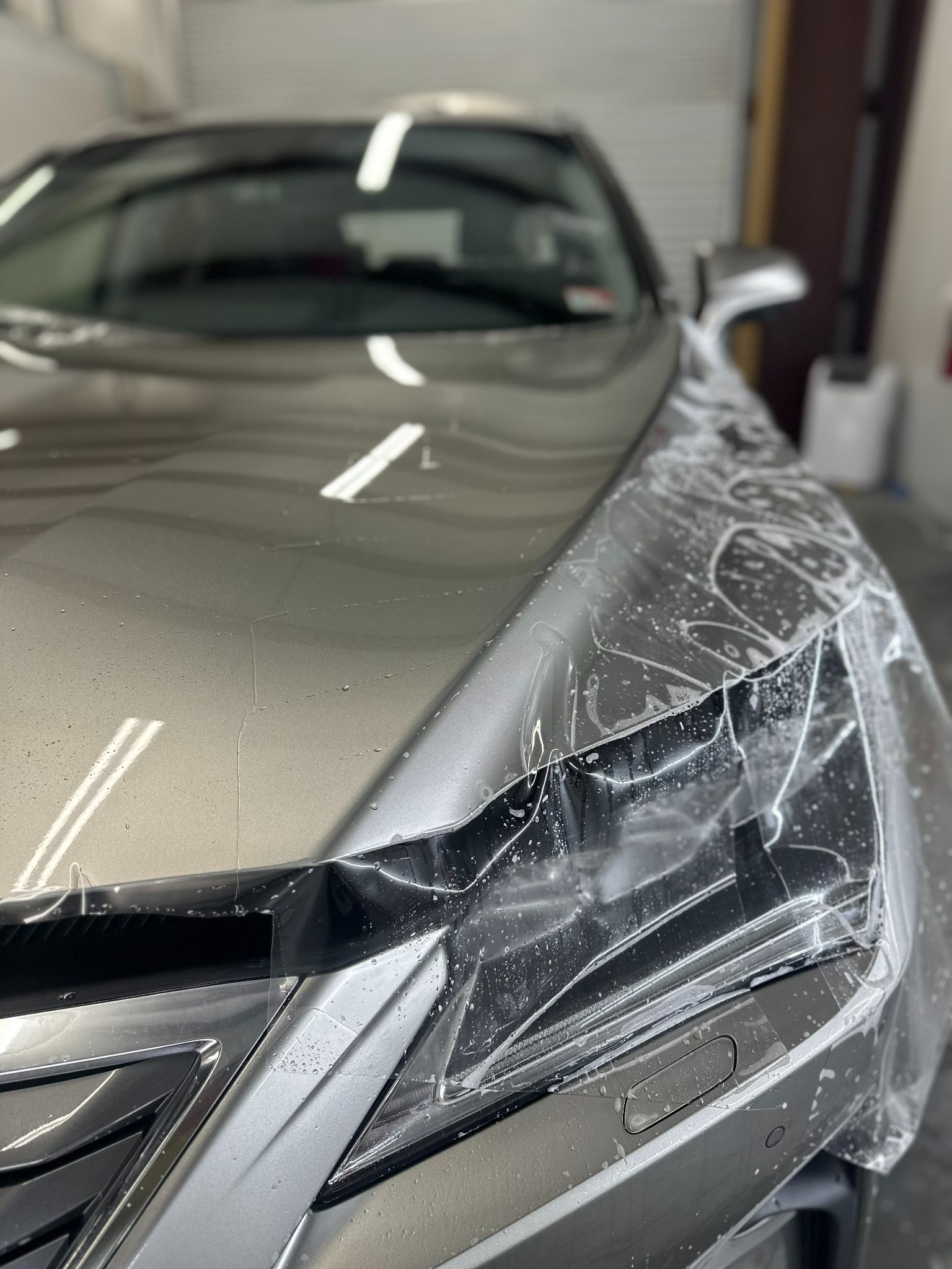 Paint Protection Film