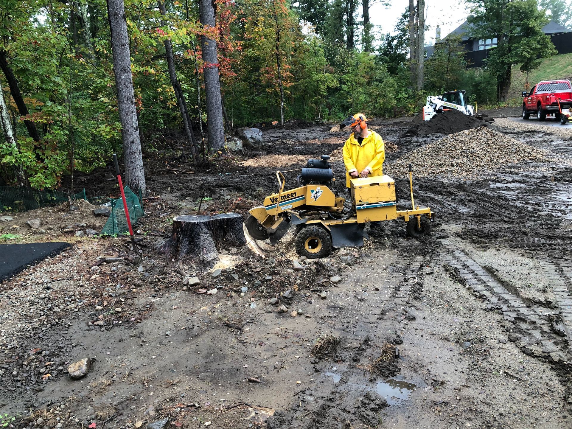 Stump Removal Malden, MA
