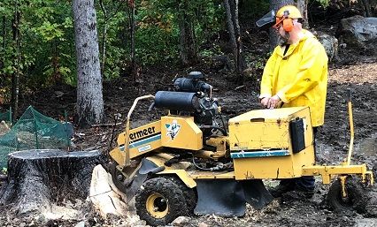 Stump Grinding Melrose, MA
