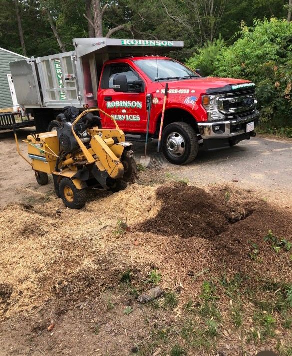 Stump Removal Malden, MA