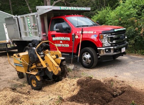 Stump Grinding Melrose, MA