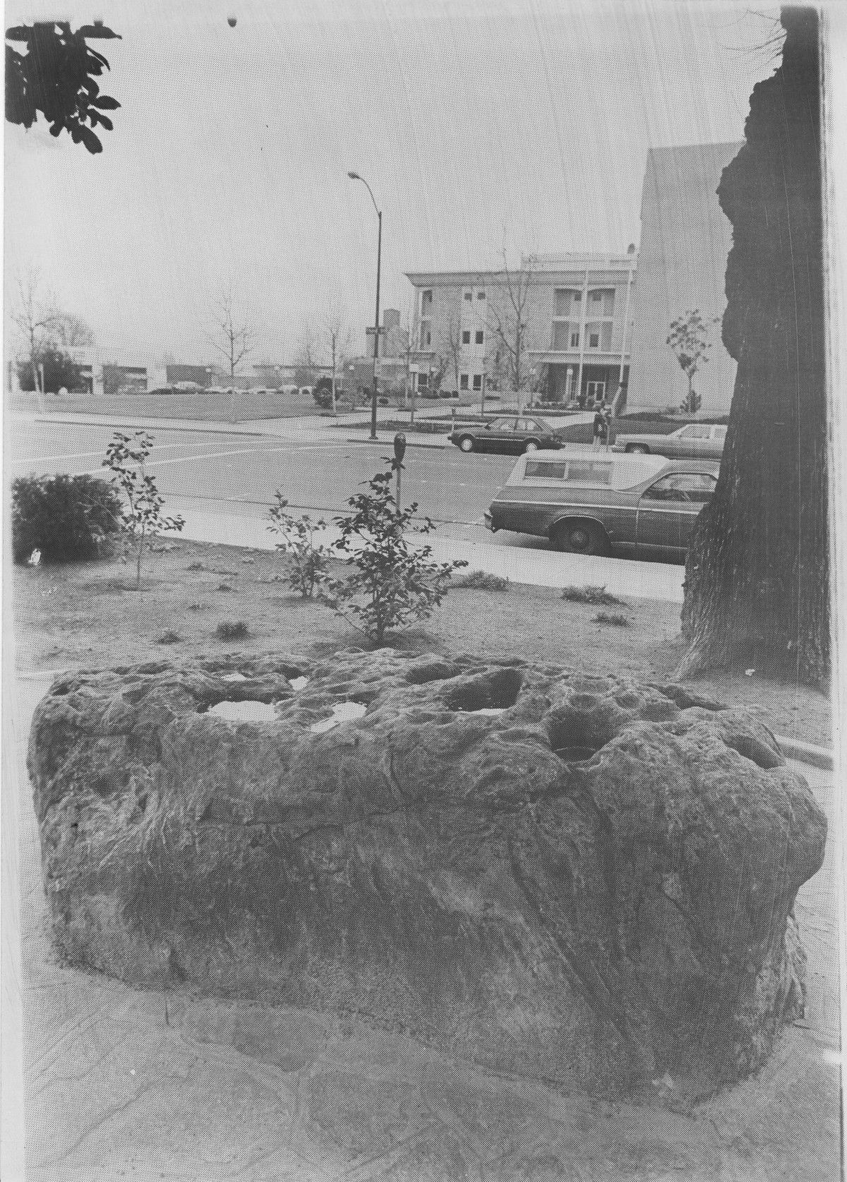 A historic photograph of a grinding stone on the grounds of the Napa County Courthouse in the City of Napa.