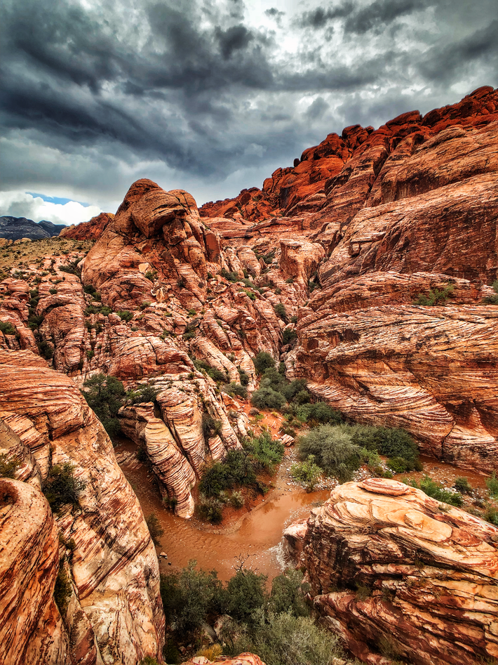 Red Rock canyon is just outside Las Vegas and is a national conservation land area