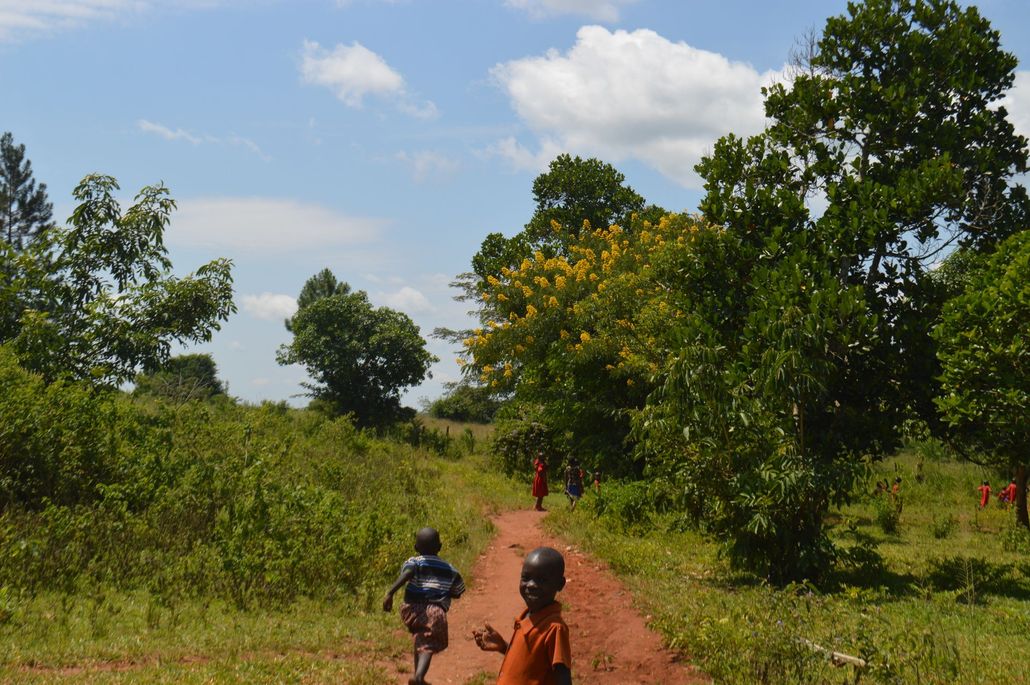 Children run down a dirt path in a sunny, green field with trees.