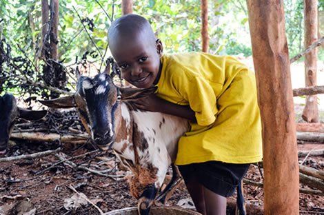 Boy in yellow shirt smiles, hugging a goat. Brown, white and black goat. Outdoors.