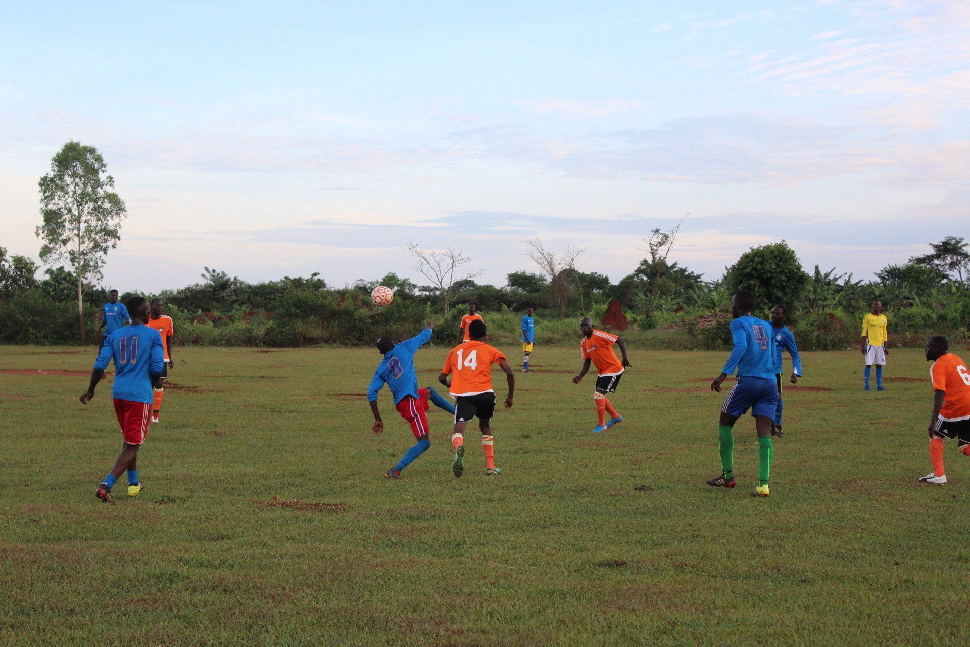 Soccer game in progress on a grassy field. Players in blue and orange jerseys compete.