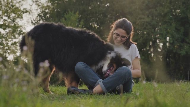 Animal Shelter Monroe County 734-243-3669