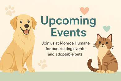 Michigan Humane Dog Animal Shelter Near Me Animal Shelter Monroe