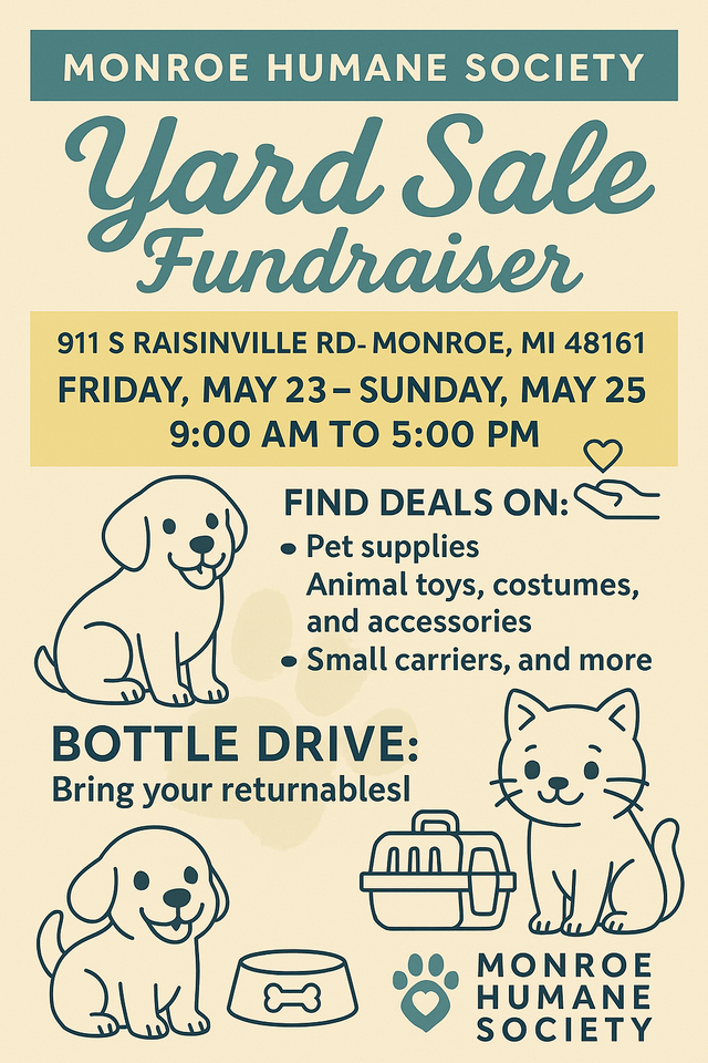 Rspca Pet Adoption Shops Near Me Adoption Center Animal Rescue