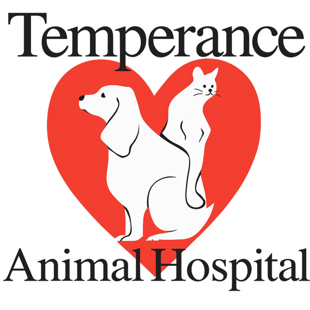 Animal Shelter Monroe County 734-243-3669