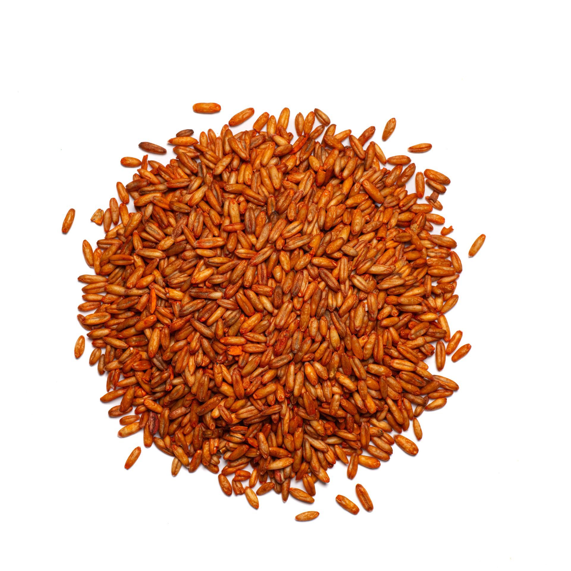 Orange+Oat+Groats.jpg