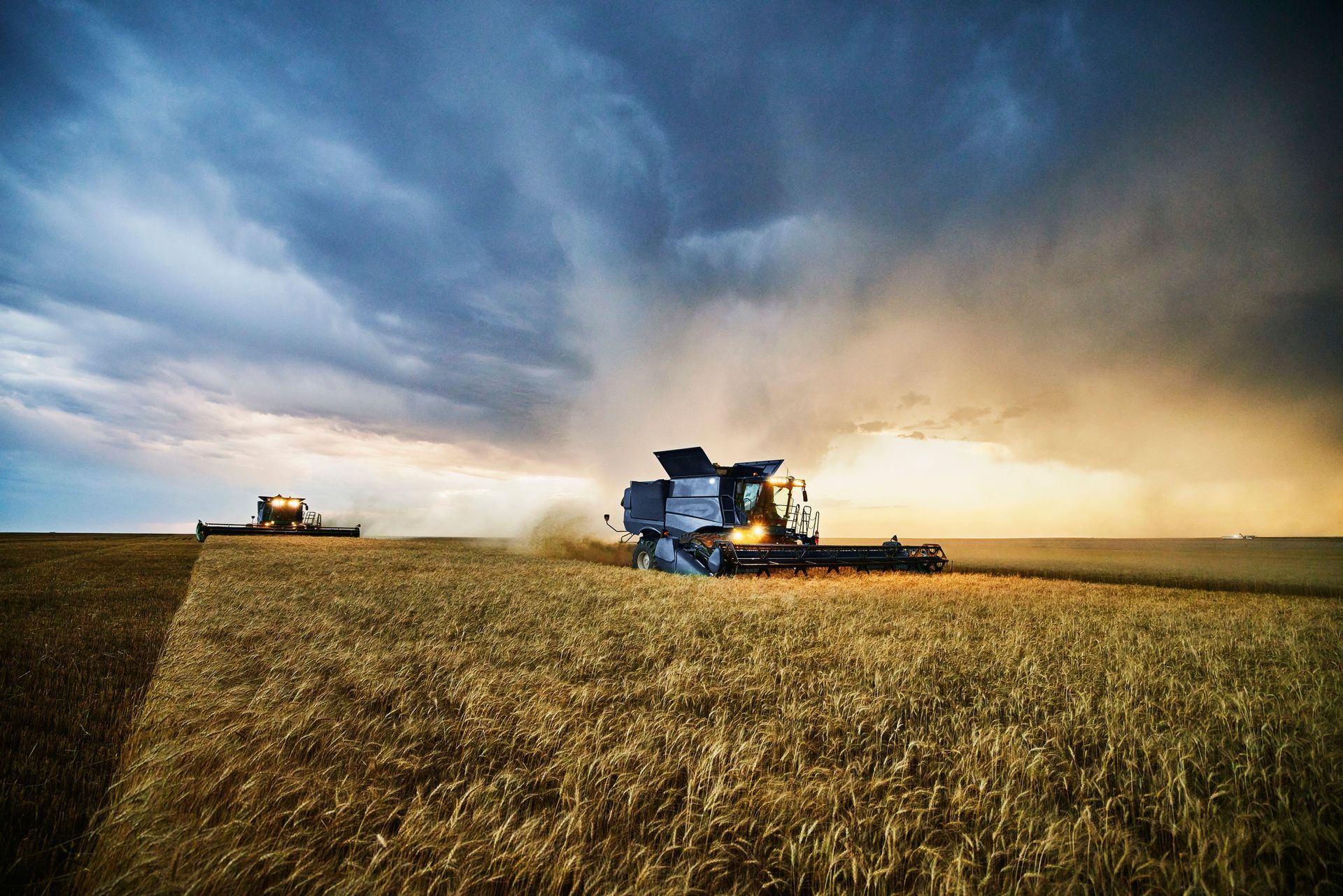 Two combines harvesting wheat in a field under a stormy sky. Sunlight illuminates the field and machinery.