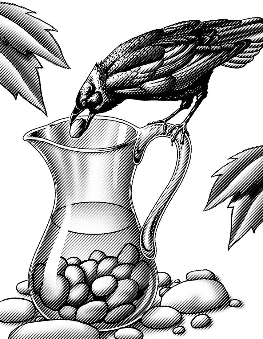 Crow & Pitcher