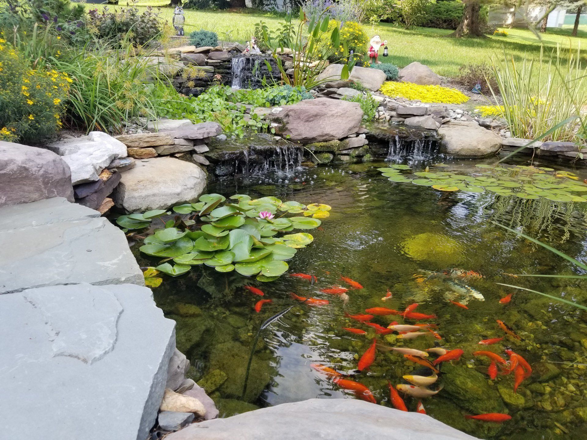 Koi Pond in the Garden — Red Lion, PA — Garden Creations LLC