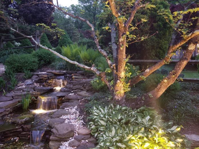 Lighting on Outdoor Plants — Red Lion, PA — Garden Creations LLC