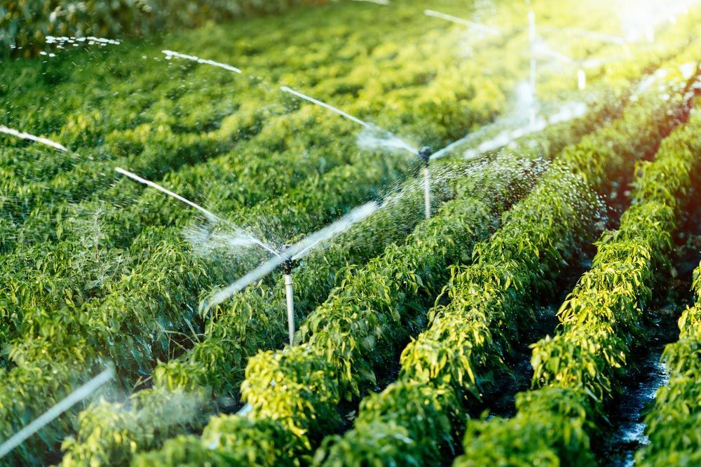 Irrigation System In Function Watering Agricultural Plants — Bearfast Bearquip In Gunnedah NSW