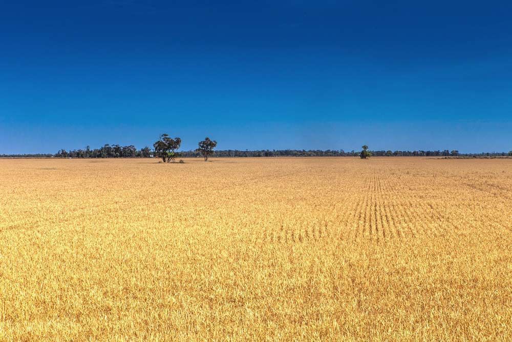 Moree — Bearfast Bearquip In Moree NSW