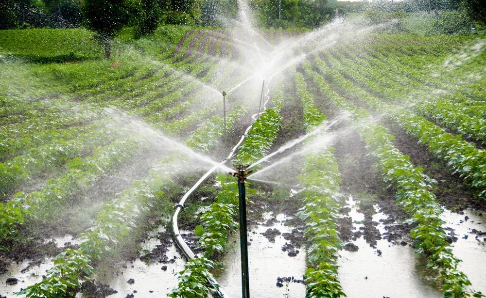 Sprinkler Irrigation System — Bearfast Bearquip In Tamworth NSW