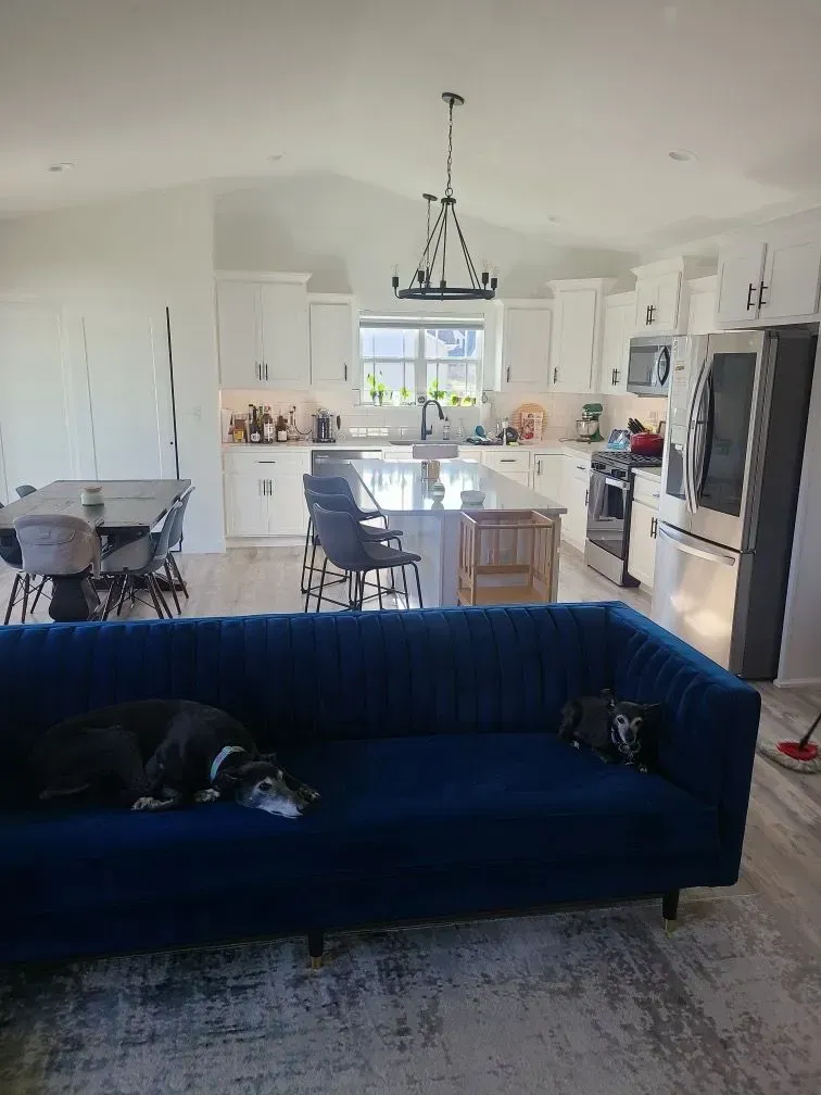 Blue sofa with a dog in a modern kitchen with white cabinets and a chandelier.