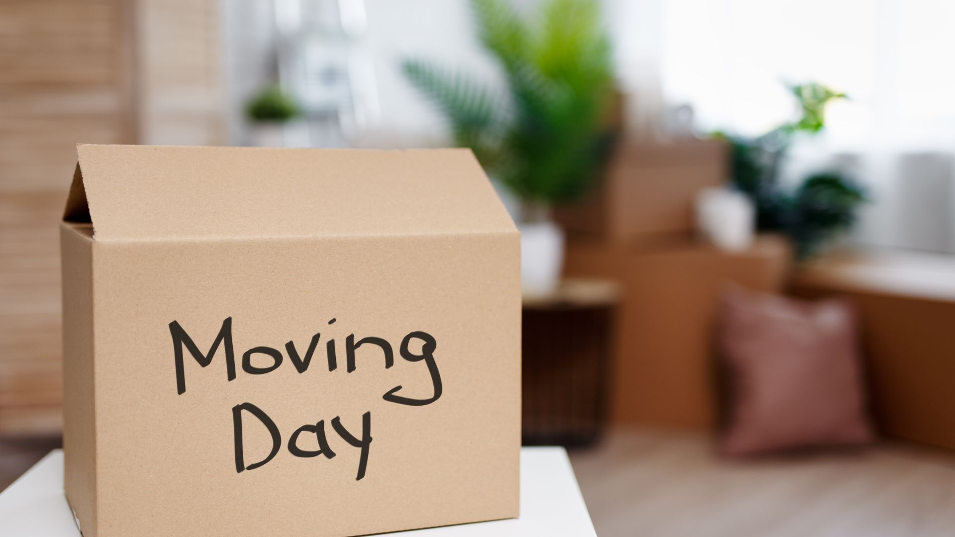 Organize your local move effortlessly with these 10 powerful tips for furniture delivery.