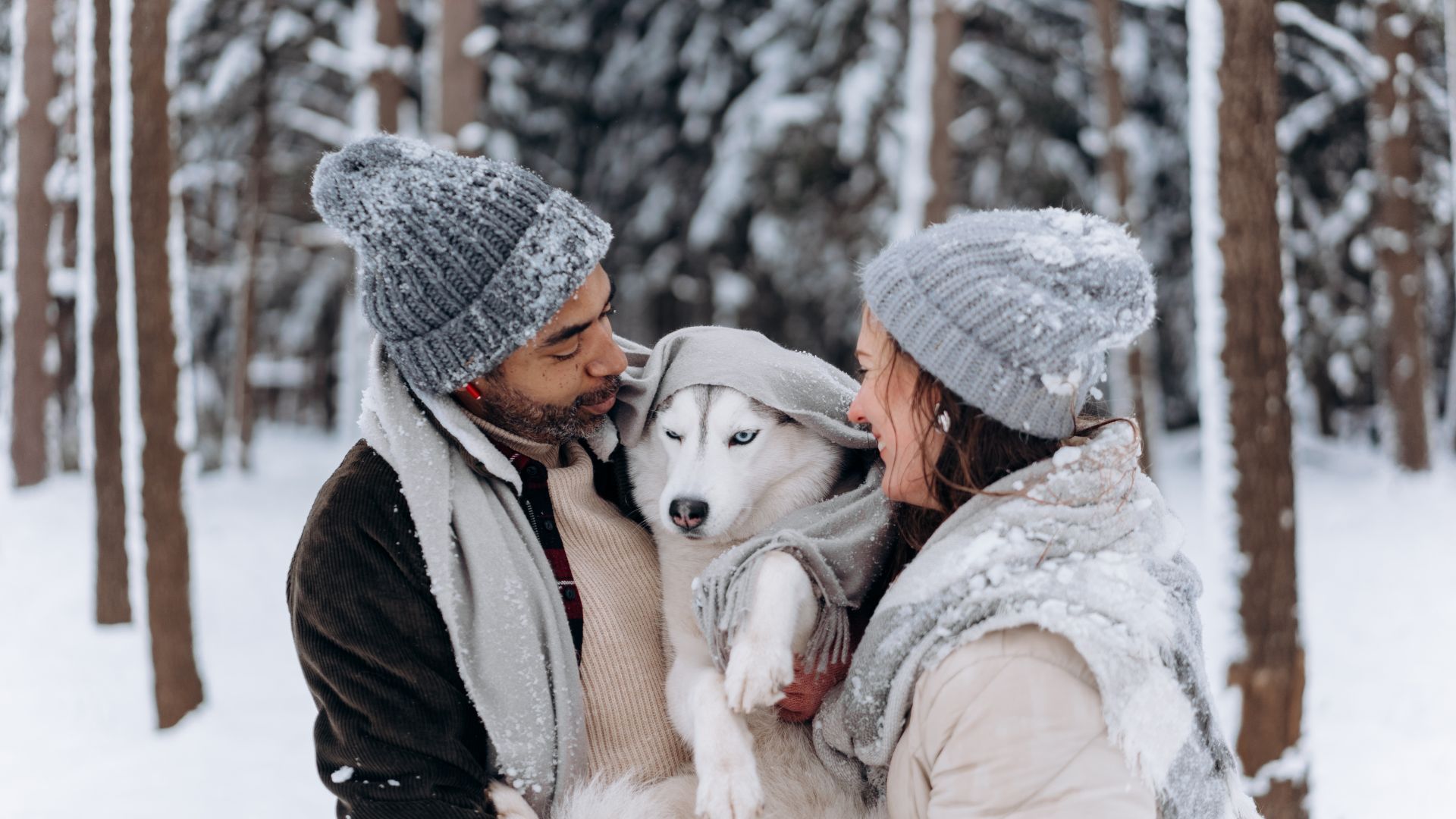 Happy couple settling into their new home with a husky