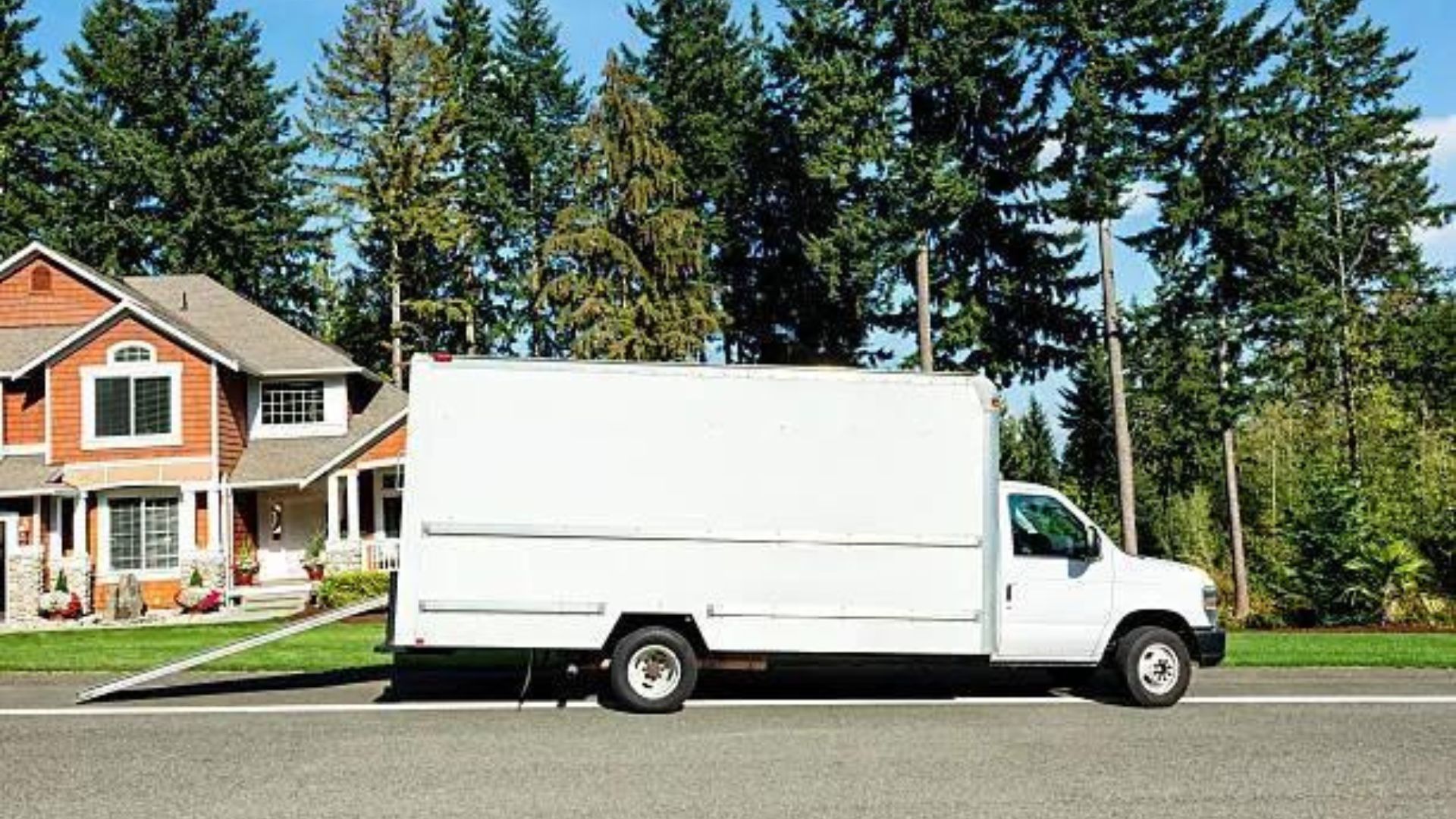 Cargo Van Moving Furniture with Movers