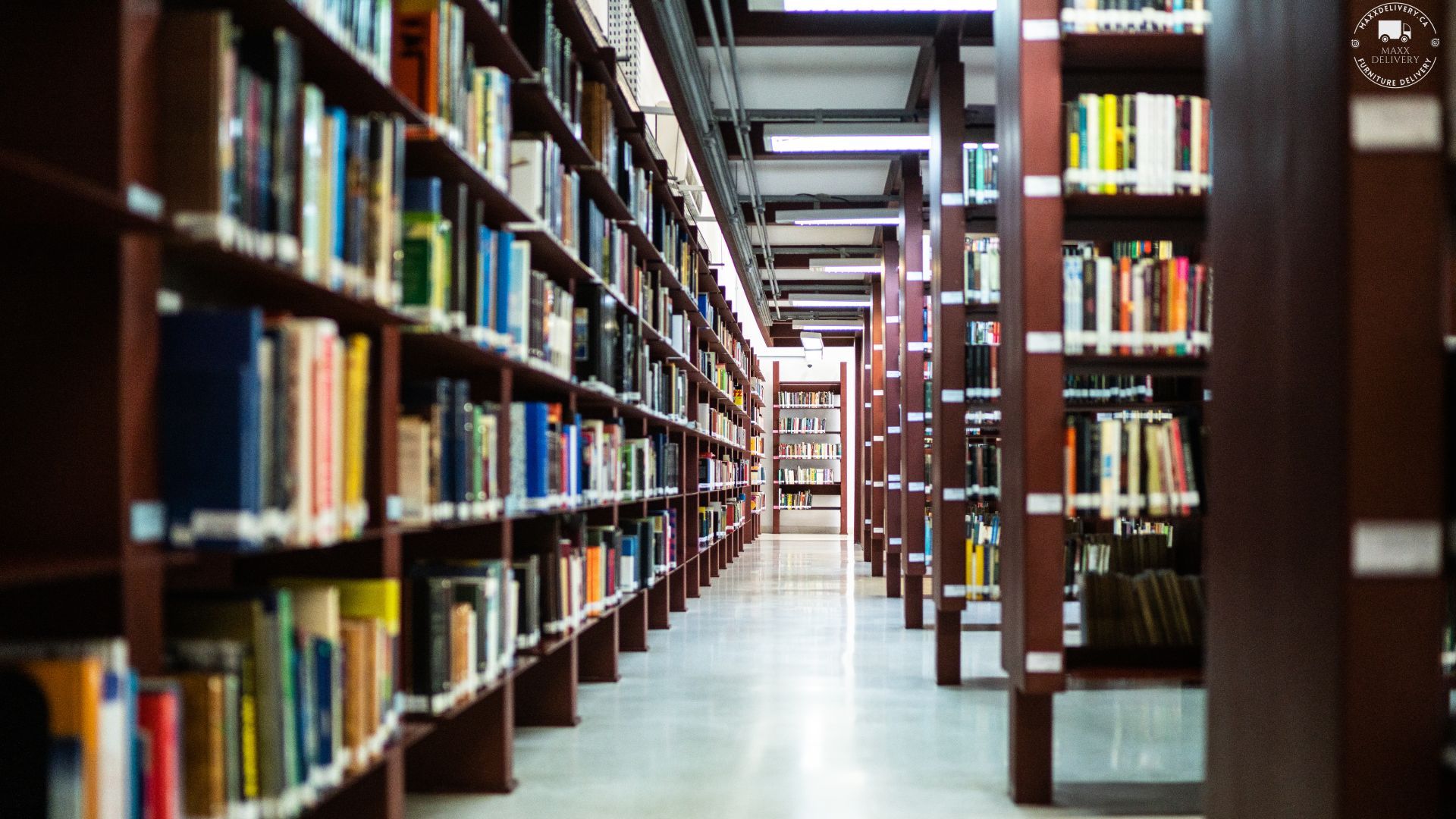 A library filled with lots of books on shelves