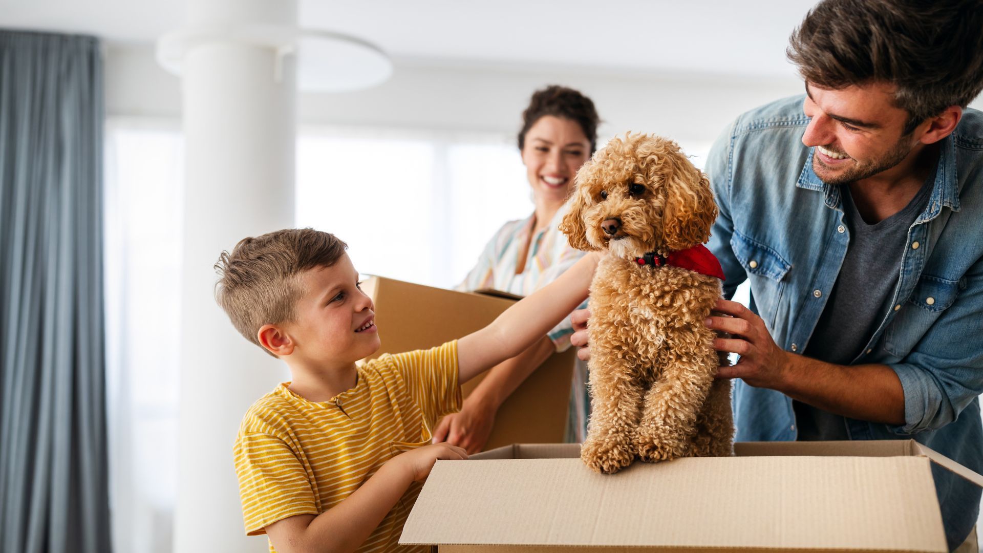 Family with a poodle moving in a new house