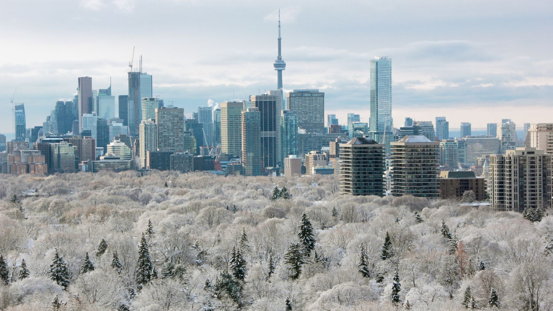 Professional movers in Toronto handling winter conditions - furniture toronto 